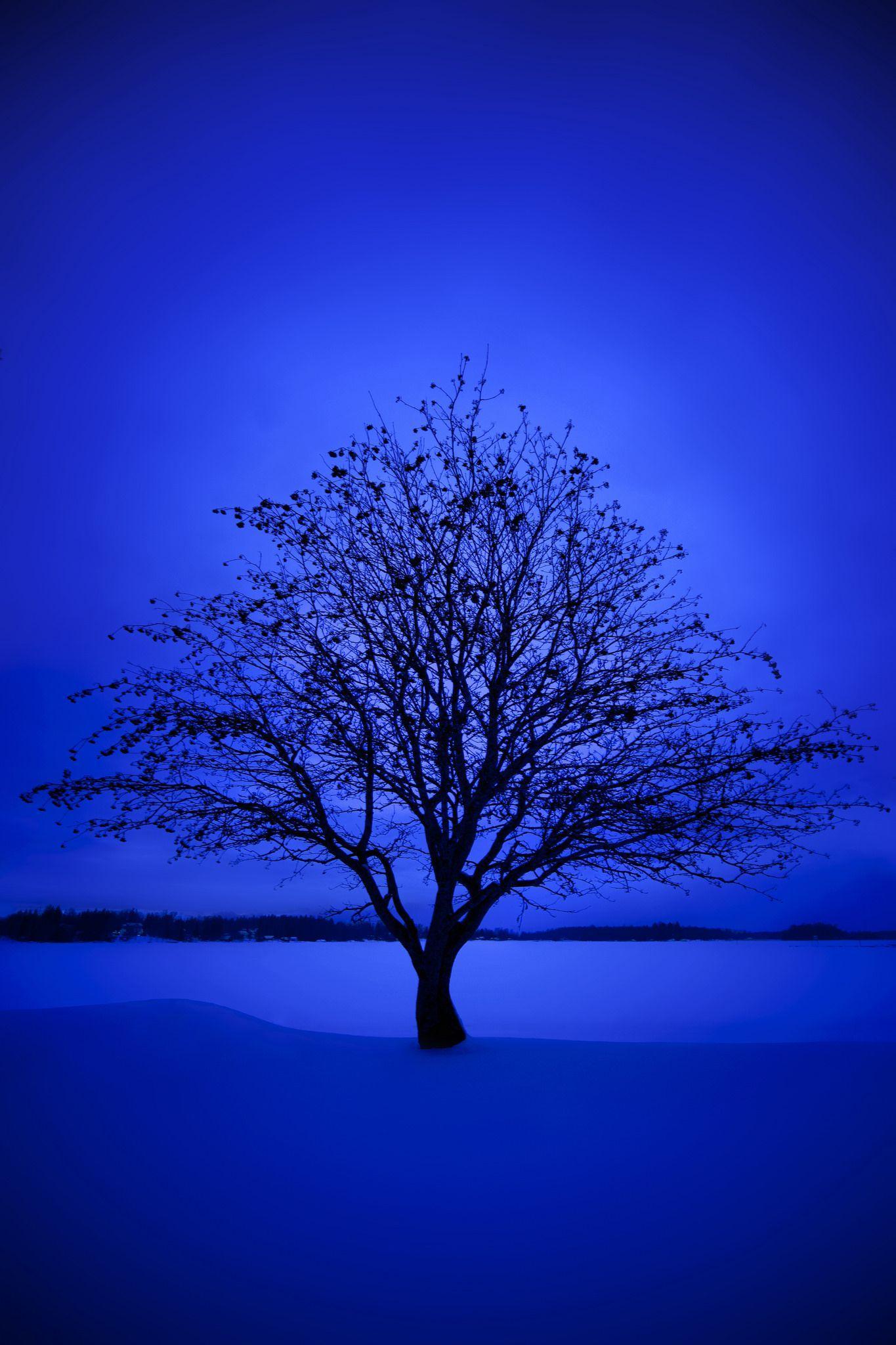 Blue Background Aesthetic wallpapers collection