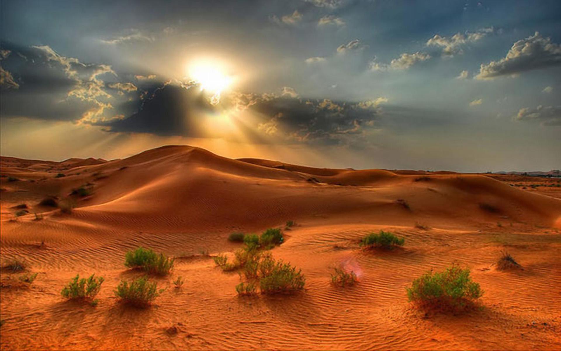 Desert Sunset wallpapers collection