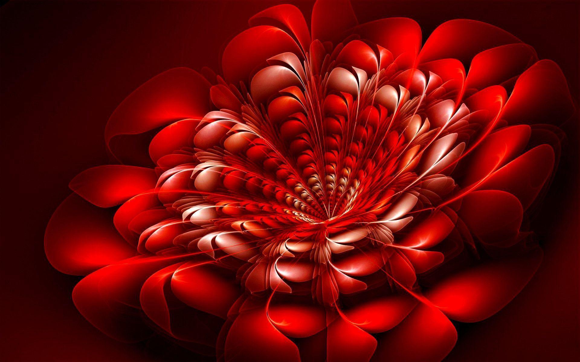 Red Floral wallpapers collection